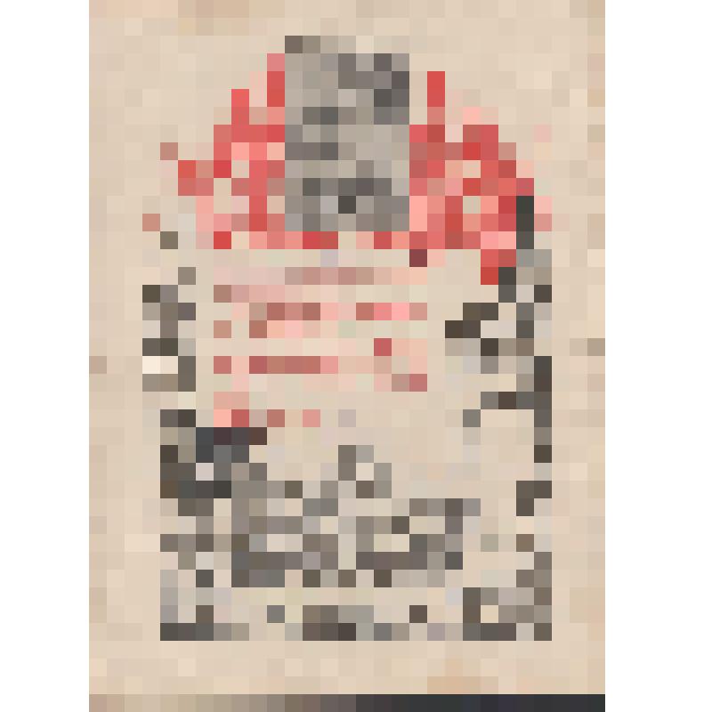 Благодарность ст. лейтенанту мед. службы Калашниковой Галине Федоровне за овладение городом и крепостью Бреславль (Бреслау)