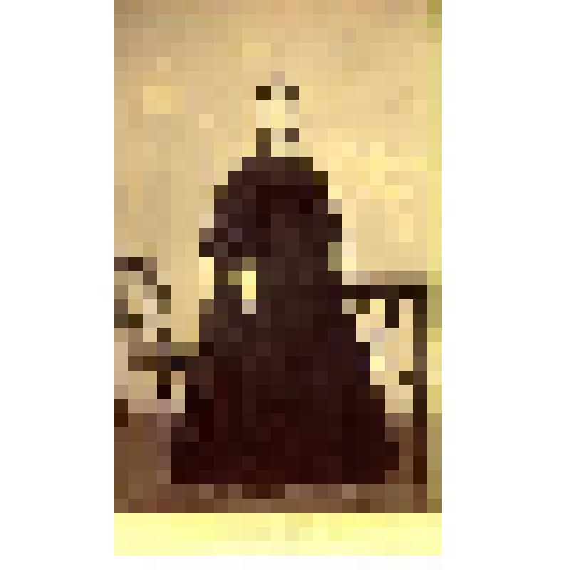 Фотография. Виллуан Ольга Александровна, дочь Александра Ивановича Виллуана