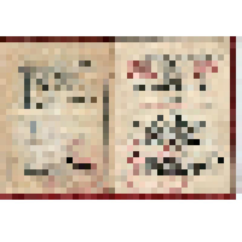 Членский билет N 251 Глаголева И.И. - члена Н-Тагильского Горсовета