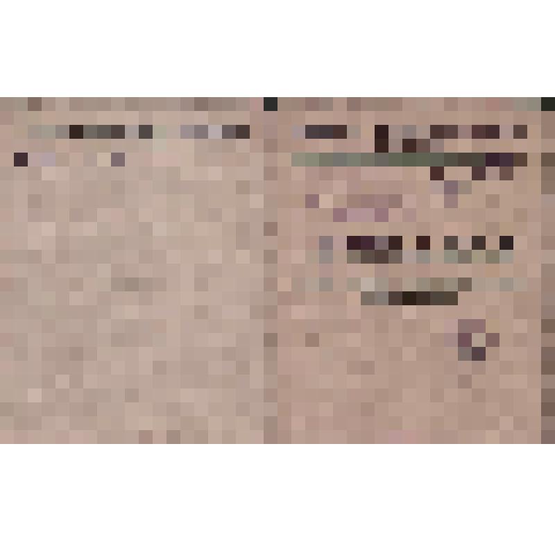 Документ. Пропуск в закрытый распределитель для ученых