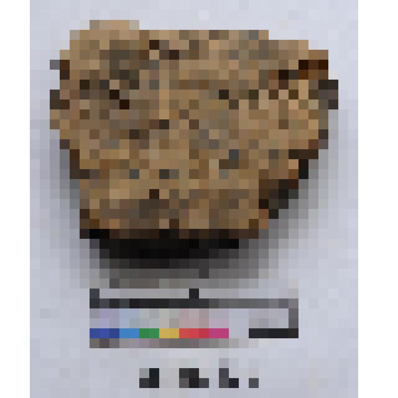 Стенки сосуда фрагмент. Коллекция: Материалы раскопок стоянки Холомониха