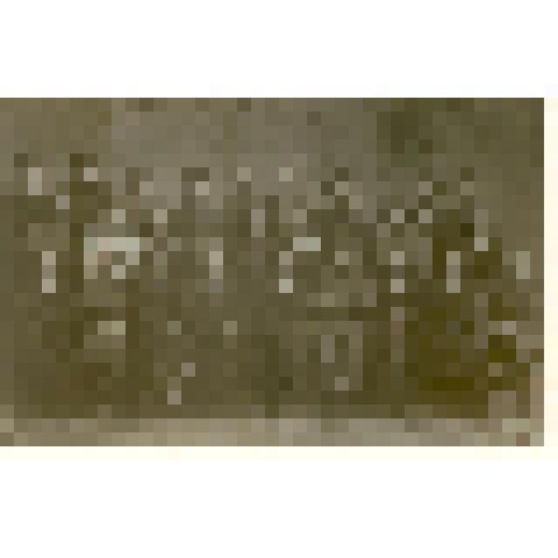 Фотография. Кнейчер В.С. среди служащих Саратовских аптек