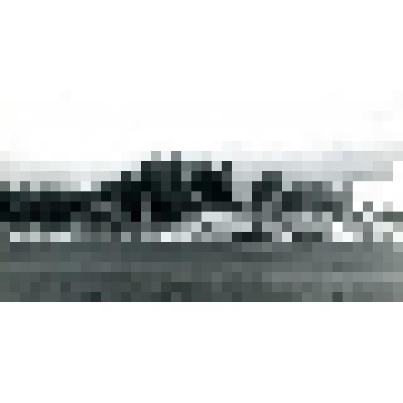 Фотография черно-белая. Парад школьников-физкультурников. Из фотоальбома Л.И. Борисенко № 48 "Барнаул - жизнь"