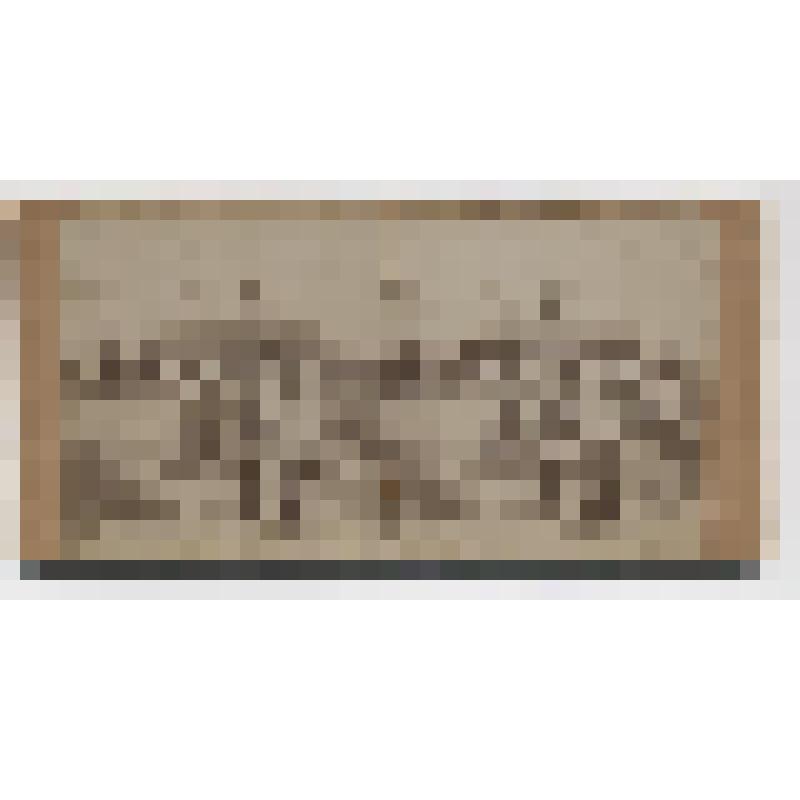 Стереопара. Томское Общество содействия физическому развитию. Летняя колония для детей на Басандайском хуторе общества. Дом № 3 служащий дополнительным помещением для мальчиков и девочек (имеет три входа)