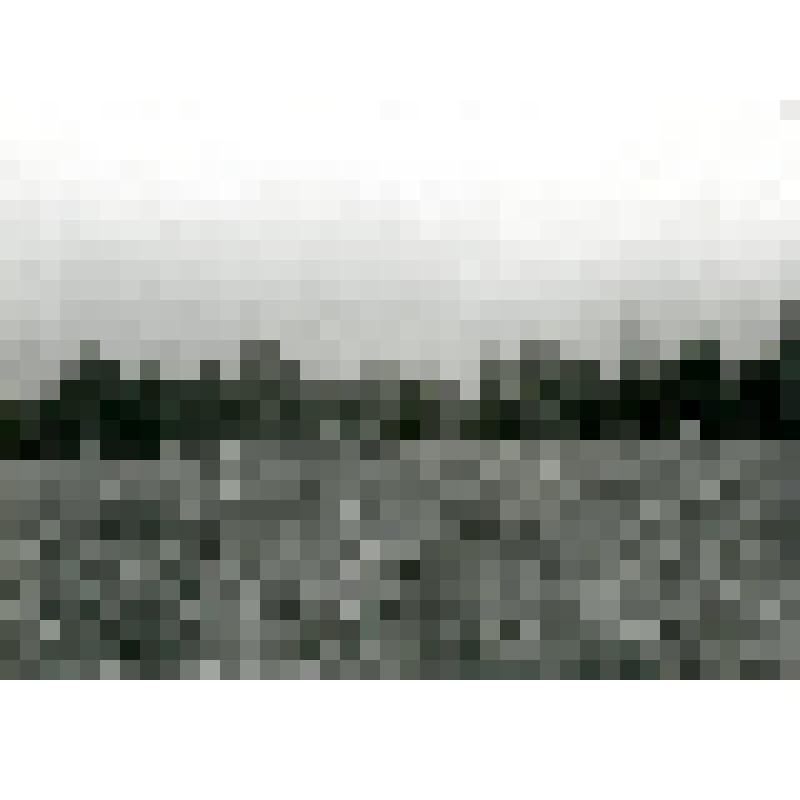 Фотография. Рожь. Устье р. Миль