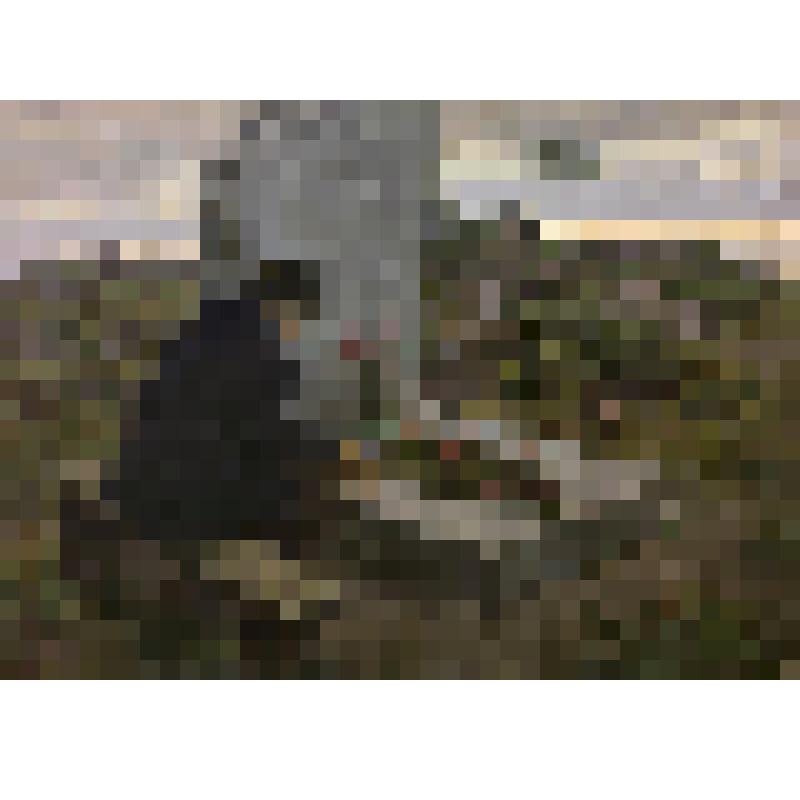 Незажившие раны