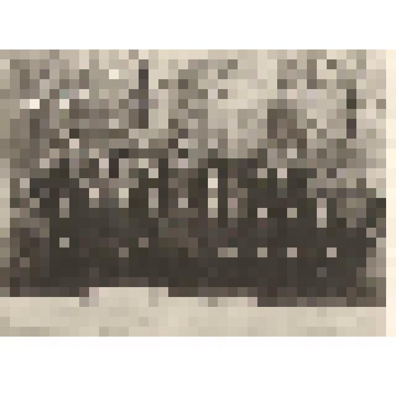 Фотография. Группа офицеров запаса г. Шебекино