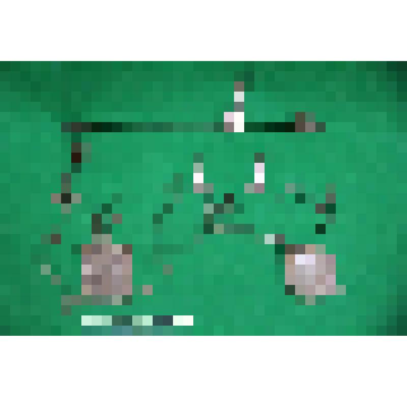 Весы - безмен. Былыргы ыйааһын