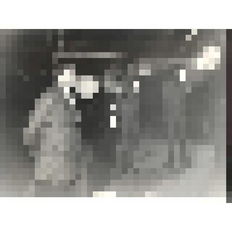 Фотография черно-белая. Праздник "Нефтяной король-93"