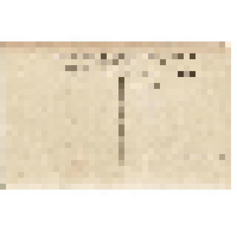 Открытка. Лев Толстой