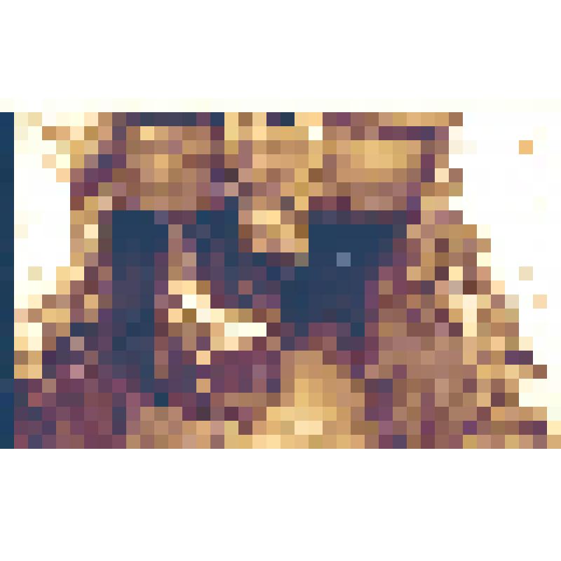 Фотонегатив черно-белый  по этнографии русских