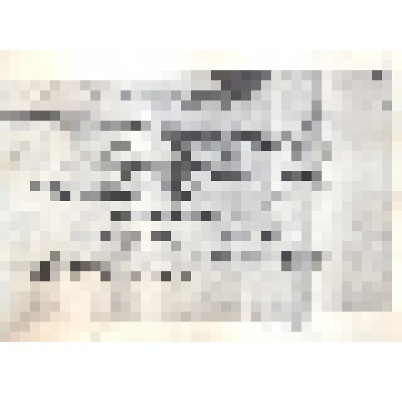 Копия архивная годового отчета ЗОЛХ за 1945 г.  32 листа