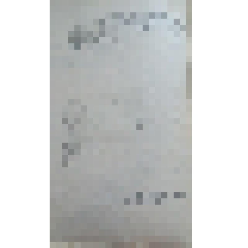 Запрос (проект) Горного начальника Гороблагодатского округа А.С. Левитского