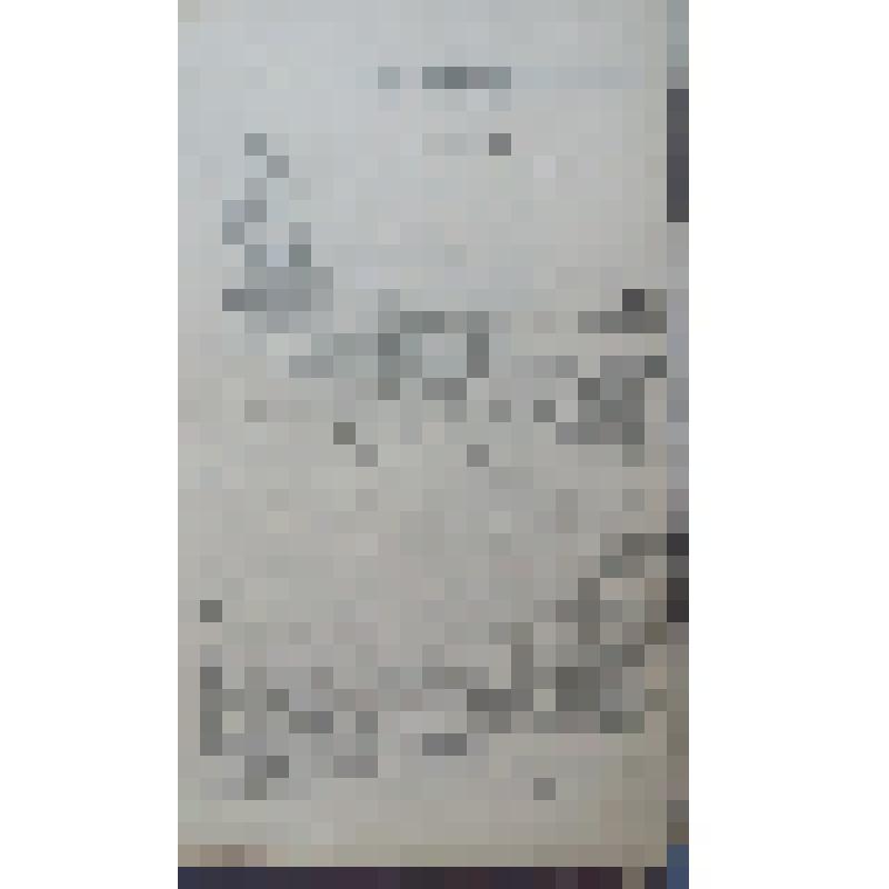 Запрос (проект) Горного начальника Гороблагодатского округа А.С. Левитского