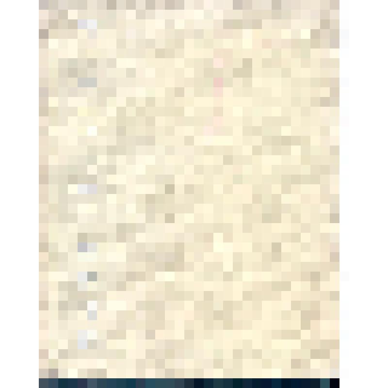 Книга. Первооткрыватели. - Иркутск: Иркутское книжное изд-во, 1961