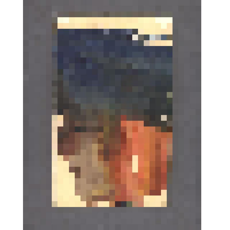 Рисунок. Ромео