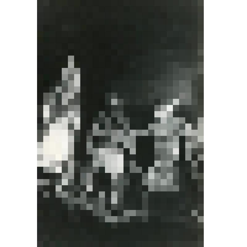Фотография. Сцена из спект. "Макбет" (пост. Е. Велихов и К. Зубов, худ. Б. Волк). Москва, Малый театр