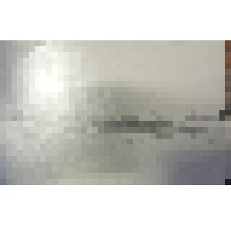 Фото. Общий вид первой овощной фермы