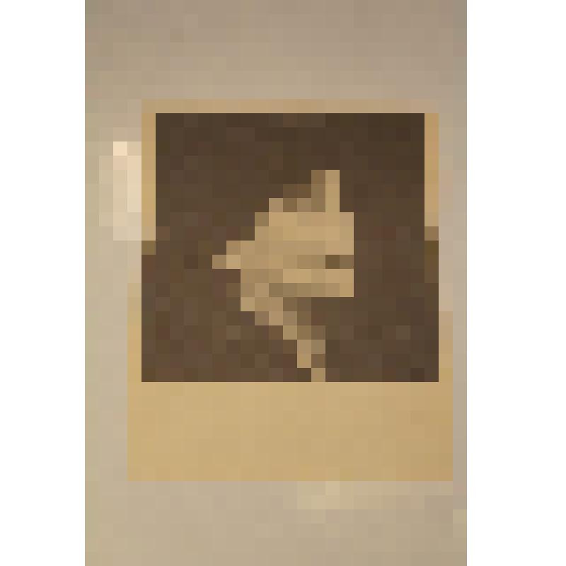 Открытка. Ахматова А. 1946