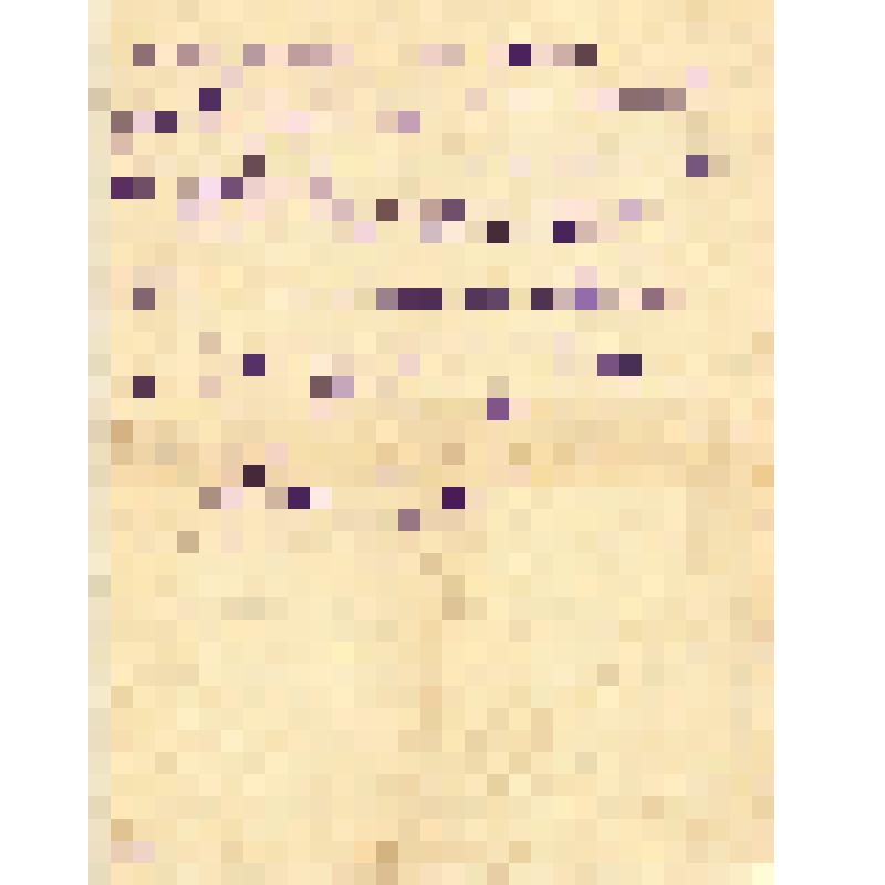 Фронтовое письмо Тюменцева Григория Ефимовича отцу Тюменцеву Ефиму Макаровичу