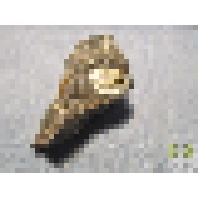 Пестроцветный гнейс