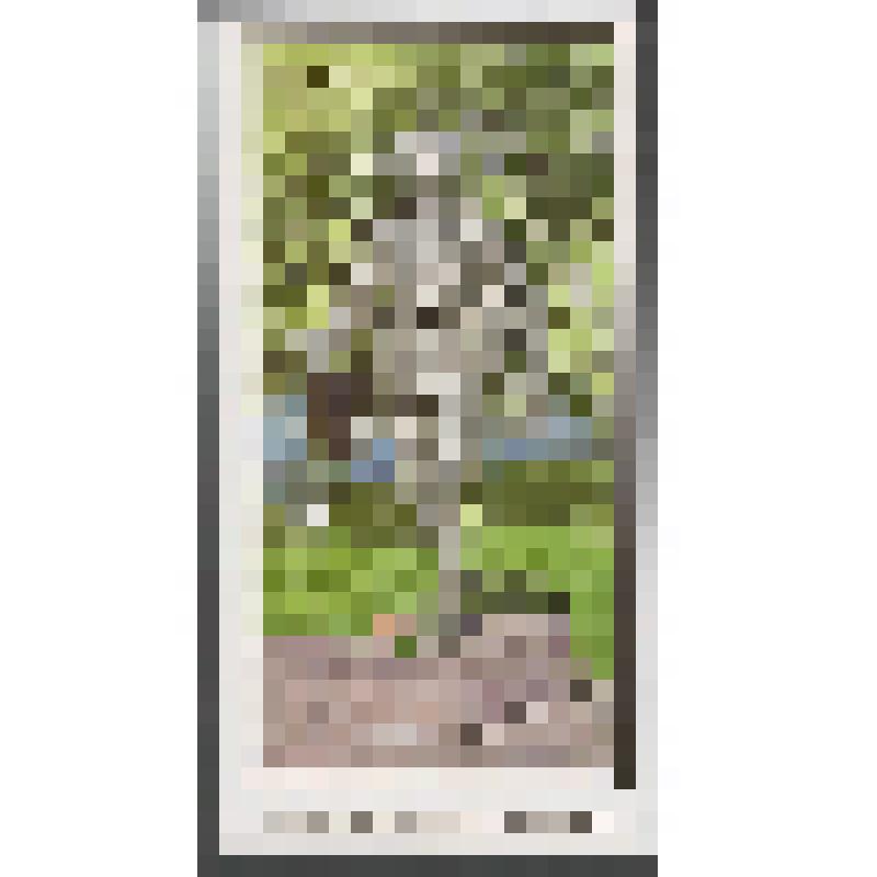 Карточка почтовая маркированная художественная двусторонняя. РФ. ИТЦ "Марка"-2016-186/5. Воронеж. Памятник фронтовому почтальону. "В". 20. 10. 2016