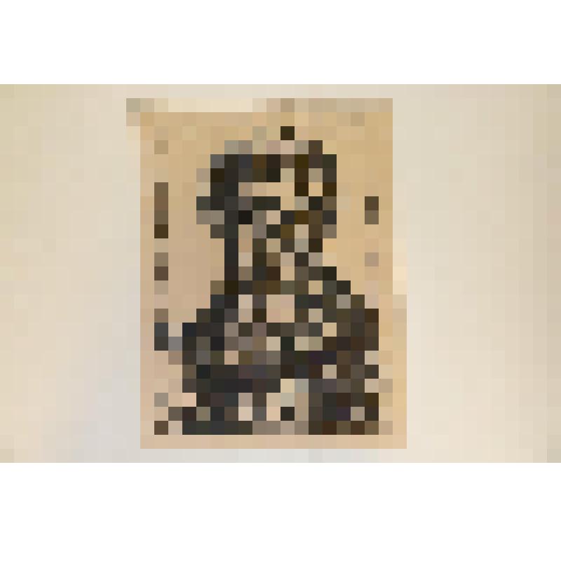 Гравюра. Из цикла работ учеников художественно-ремесленной школы-колонии во Введенском. А. Овсянкин. Портрет А.С. Пушкина