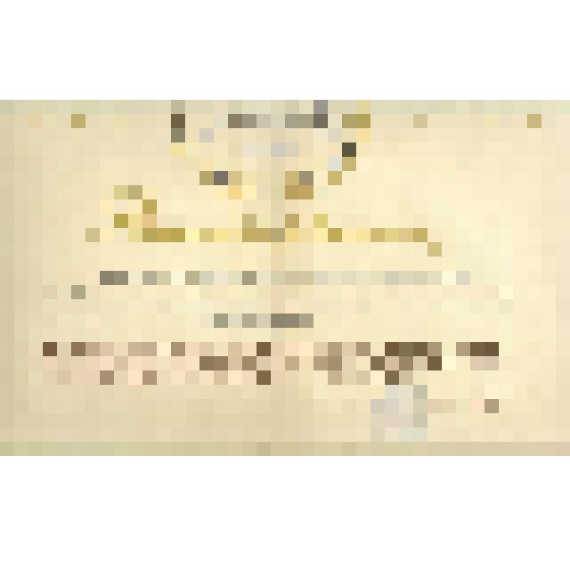 Документ. Диплом второй степени Министерства уультуры РСФСР Виноградову Юрию Федоровичу, создавшему оформление к спектаклю Кинешемского городского драматического театра им.А.Н.Островского "Невольницы" на Всероссийском смотре спектаклей.  Из коллекции мате