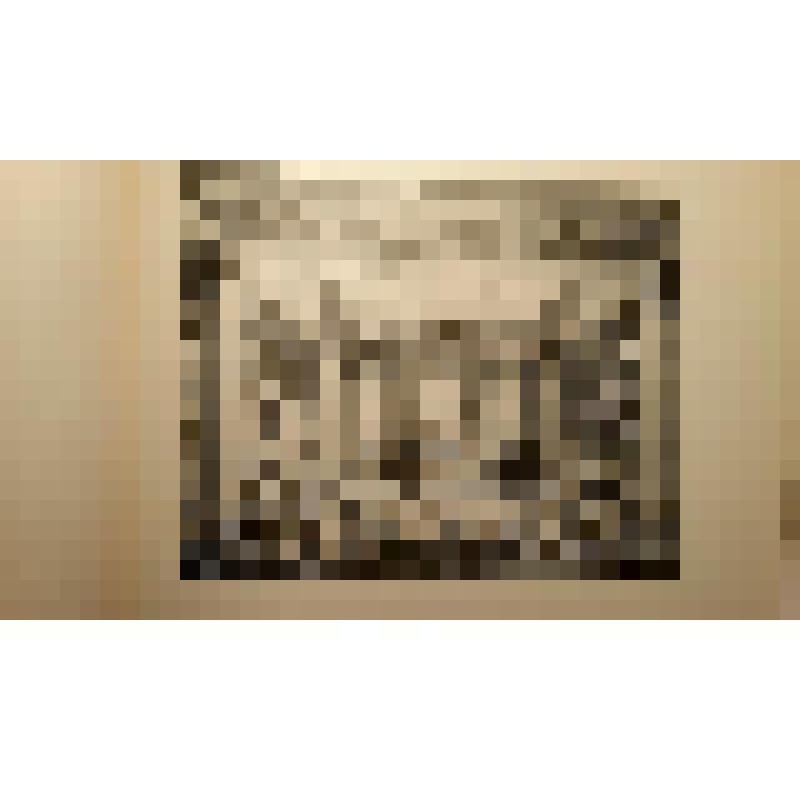 Дом-особняк А.И.Коншиной. Ул. Пречистенка,,16/2. XVIII в. 1867, 1908-1910, 1930 гг. г. Москва. Ул. Пречистенка. Дом-особняк А.И.Коншиной. Альбом. Гунст Анатолий Оттович. Зимний сад. Вид из столовой. Фотогр. и худож. фотот. К.А. Фишер, Москва