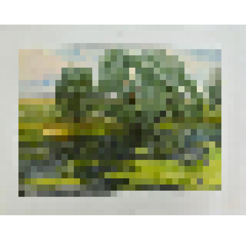 Акварель. Августовский день