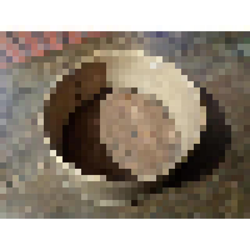 Лукошко с крышкой