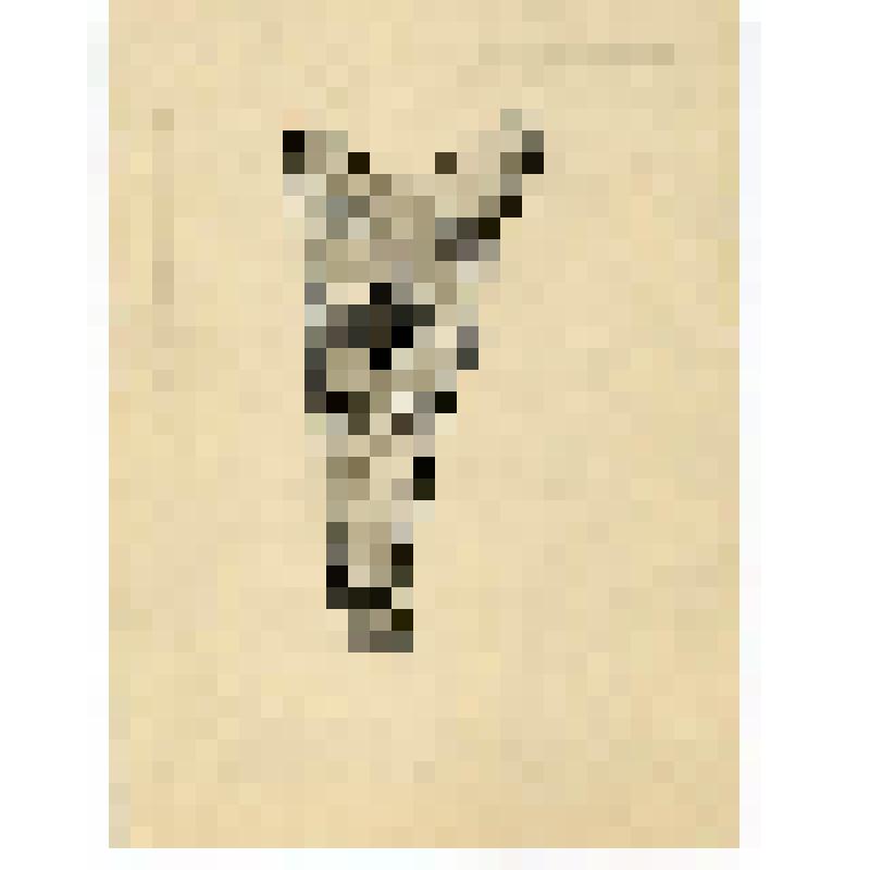 Рисунок. Колчан для стрел