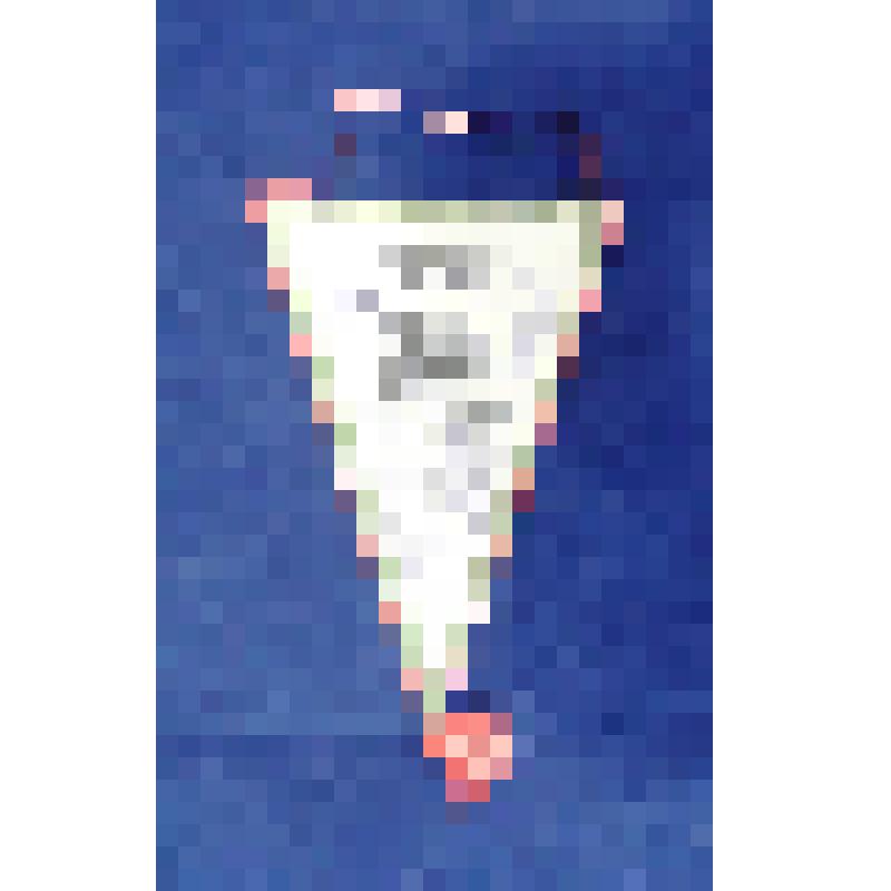 Знамена, флаги и вымпела. Вымпел Московского фольклорного праздника-карнавала 28-29 июня 1986 г. Треугольной формы с автографами участников ансамбля