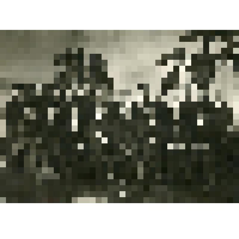 Профессор Замарин Е.А. и группа студентов, окончивших Московский институт инженеров водного хозяйства в апреле 1935 г