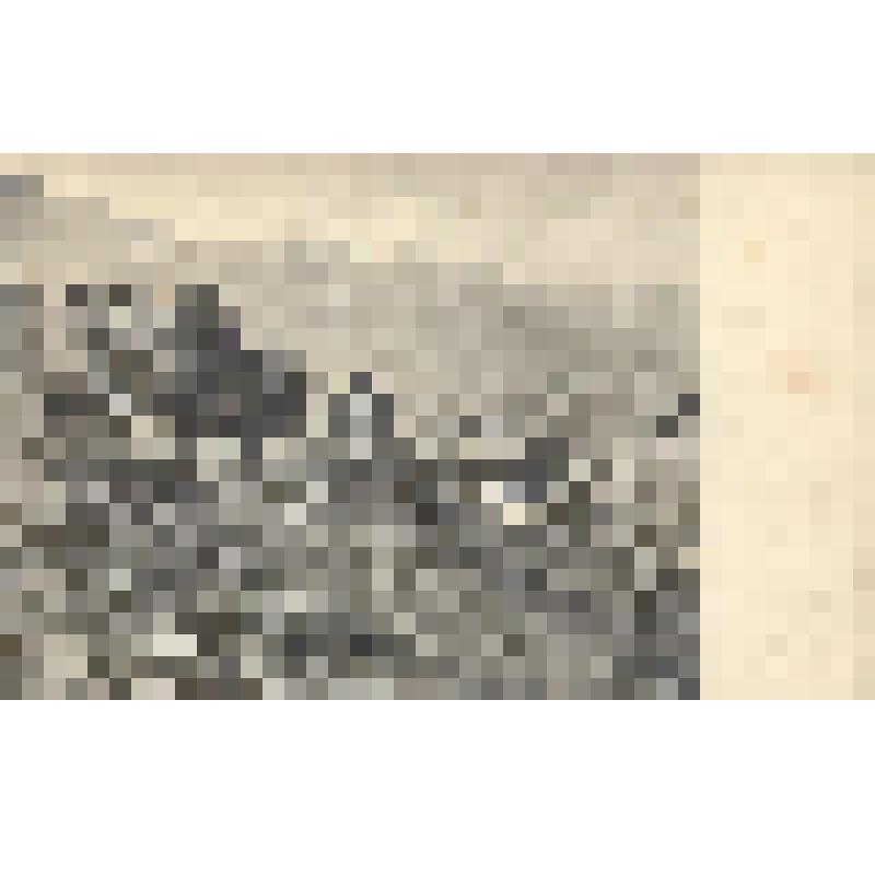 Кавказ. Военно- Грузинская дорога. Станция Млеты и Млетский подъем