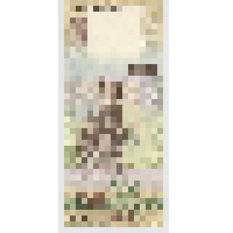 Бумажный денежный знак. Банкнота номиналом 100 рублей