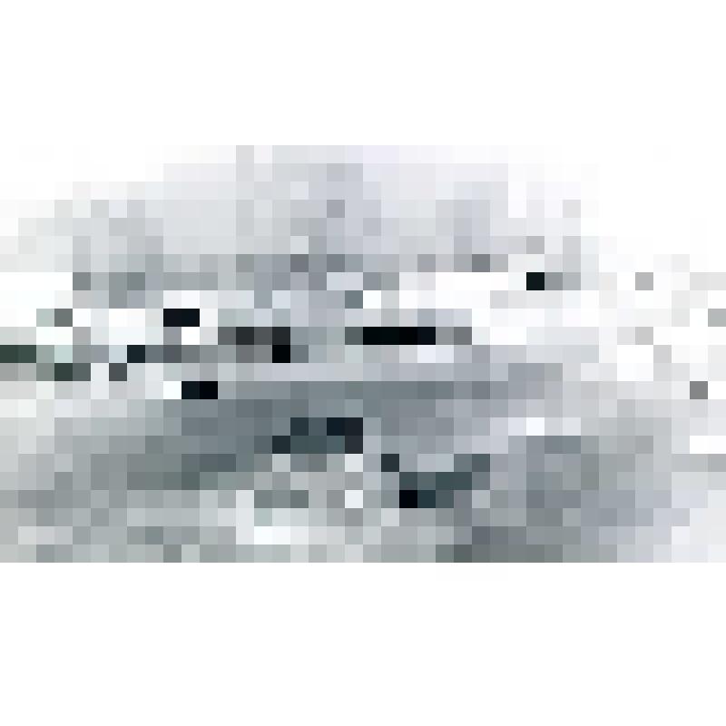 Фотография черно-белая. Зимний двор. Из фотоальбома Л.И. Борисенко № 70 "Зима"