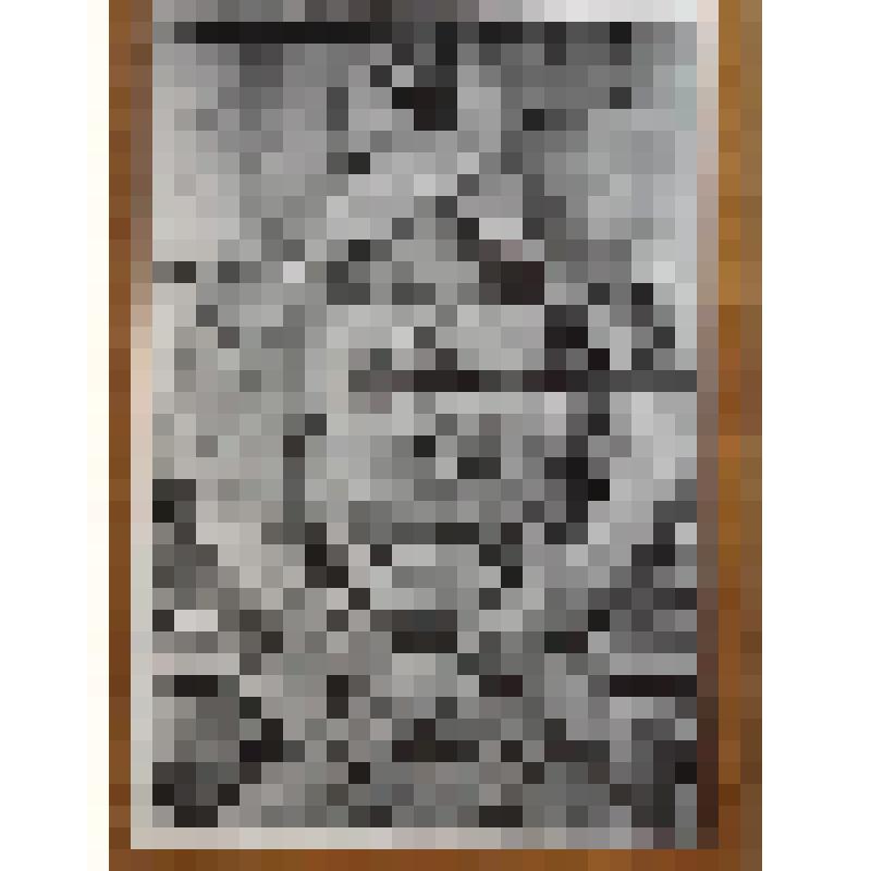 Фотография. Пегас. Серия "Федоровский городок. Фрагменты"