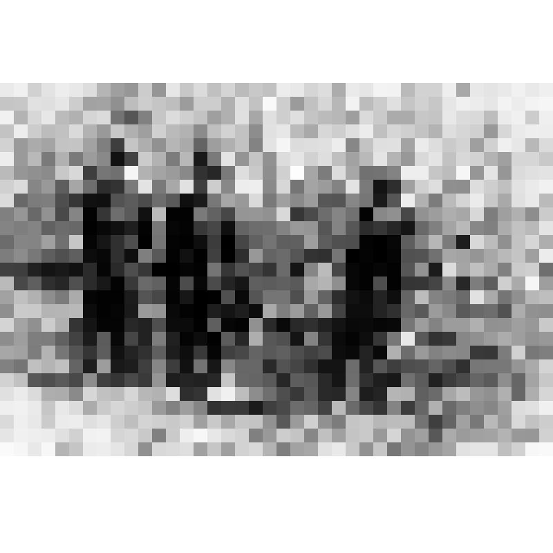 На месте происшествия. Тращенко П.Ф., начальник уголовного розыска, Резван Евгений, кинолог, собака Рекс, Короленко Николай Филиппович, старший сержант, водитель (слева направо)