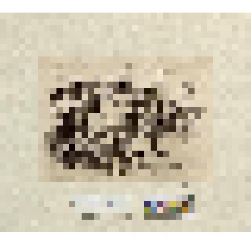 Настольная игра с применениеи фишек