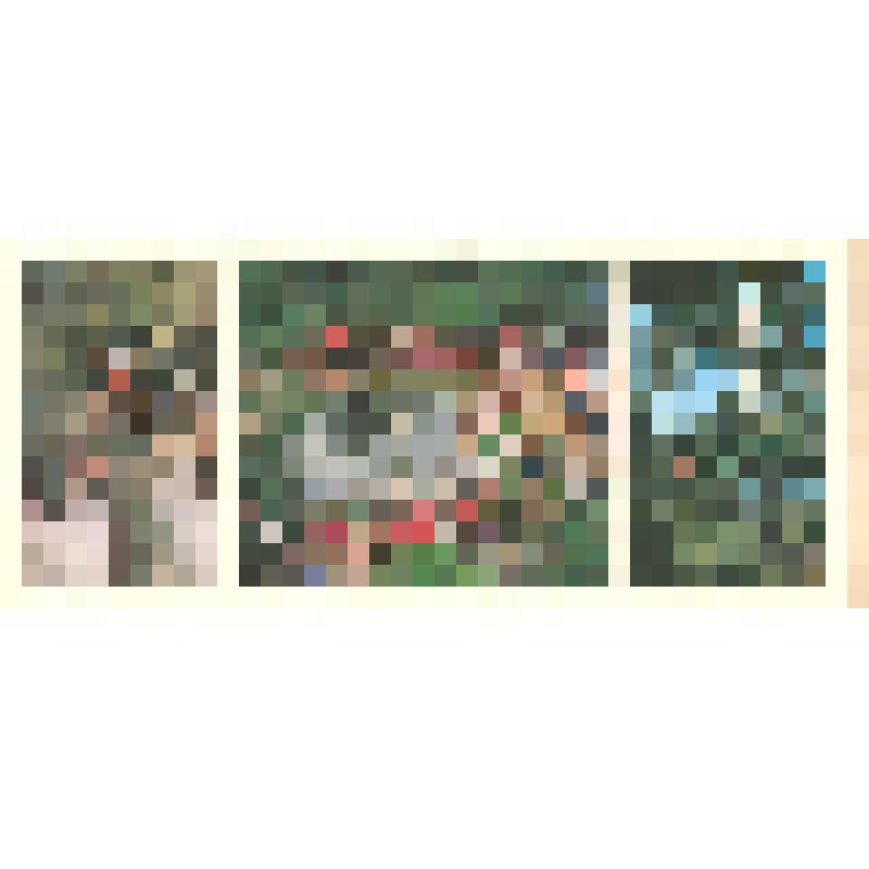 Фотооткрытка "Белгород. У Вечного огня"