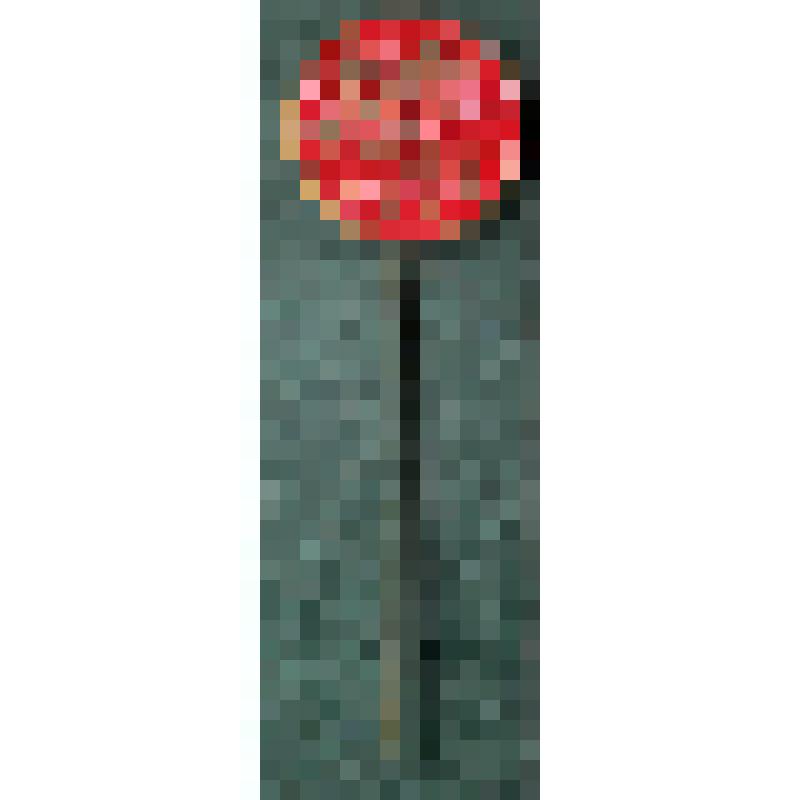 Значок с надписью SKDL