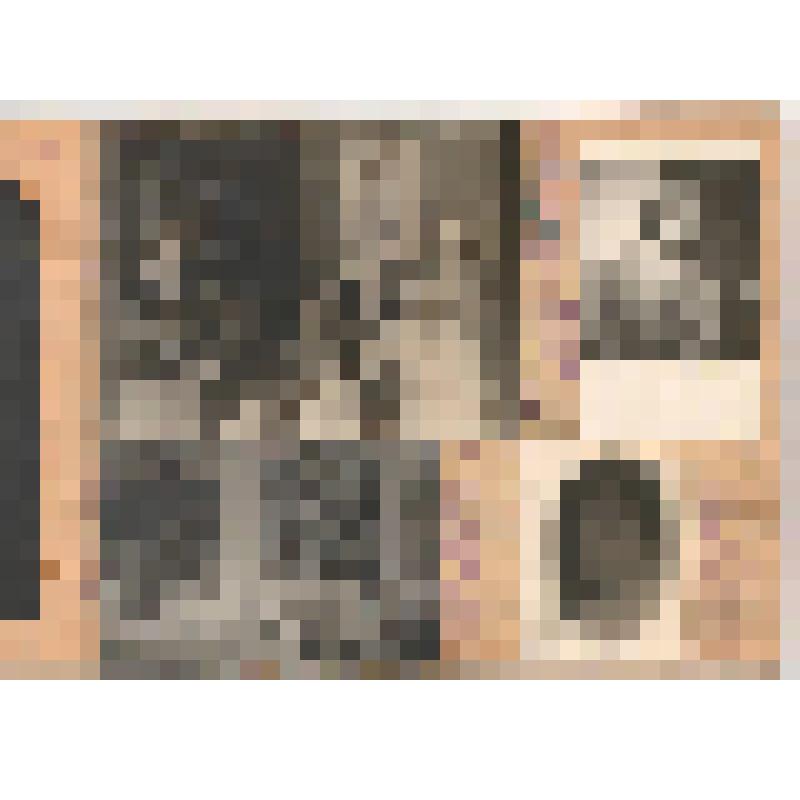 Фотоальбом. Театральные фотографии Б.П. Гальнбека и З.С. Михайловской