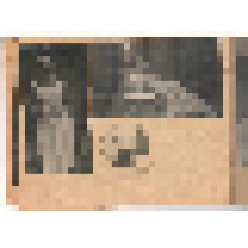 Фотоальбом. Театральные фотографии Б.П. Гальнбека и З.С. Михайловской