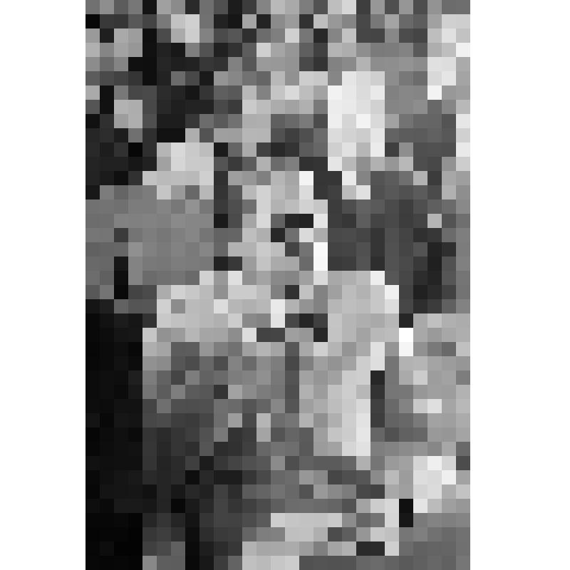 Негатив. Мойтра Д. - индийский композитор на III съезде советских композиторов