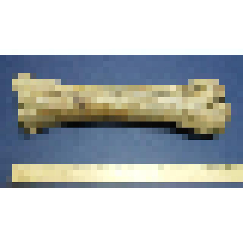 Предмет палеонтологии. Плюсна бизона. Омское Прииртышье, 10-12 тыс. лет назад. Сбор 1998 г. Из коллекции Скандакова И.Е