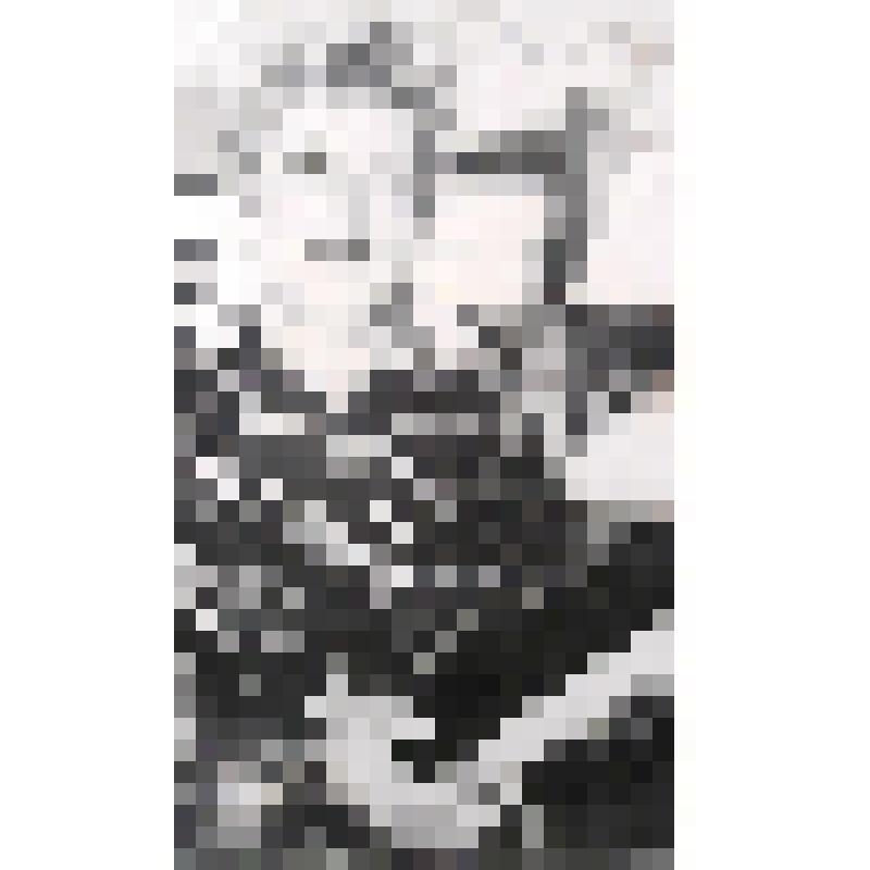 Фотография: Дубленникова Рима Николаевна