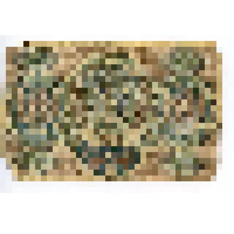 Расчетный знак РСФСР 60 рублей