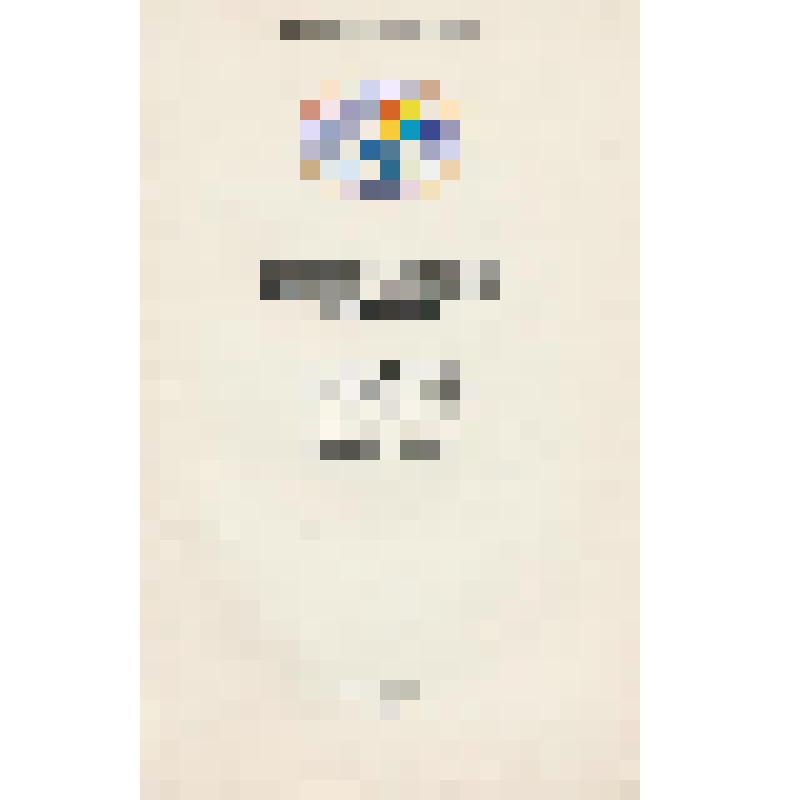 Брошюра. Брошюра "Федеральный Закон о выборах Президента Российской Федерации". - Москва: Типография имени И. И. Скворцова-Степанова издательства "Известия"