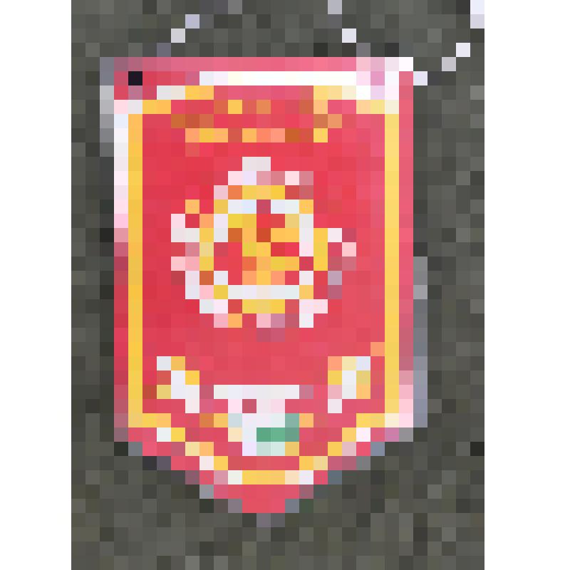 Вымпел «Мари-Турек.Малмыж.Дуслык.Келшымаш.Дружба.Балтаси,1996г.»